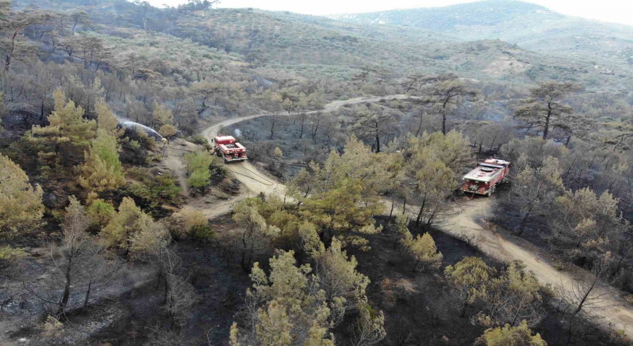 Balıkesir Havrandaki yangında havadan müdahale sabahın ilk ışıklarıyla tekrar başladı