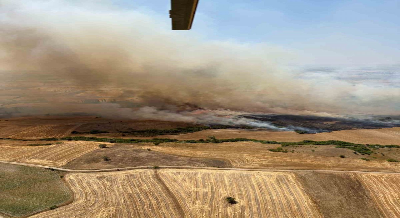 Balıkesir Kepsutta arazi yangını