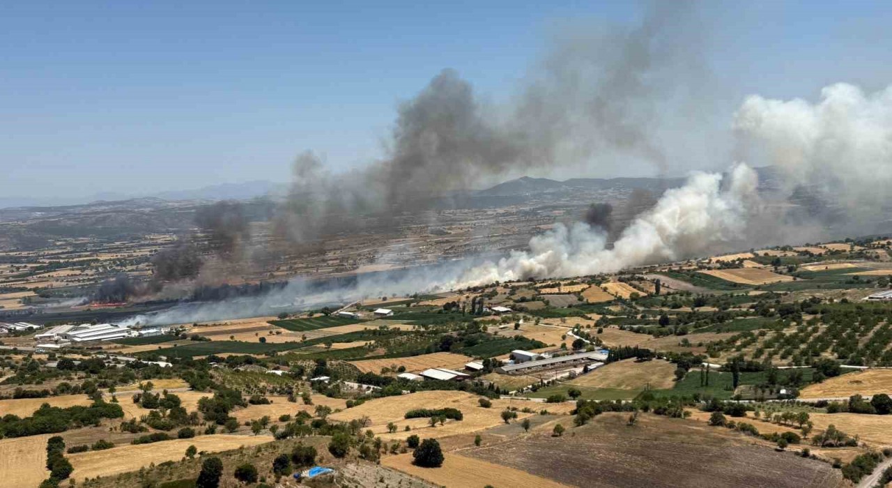 Balıkesir Pamukçuda arazi yangını