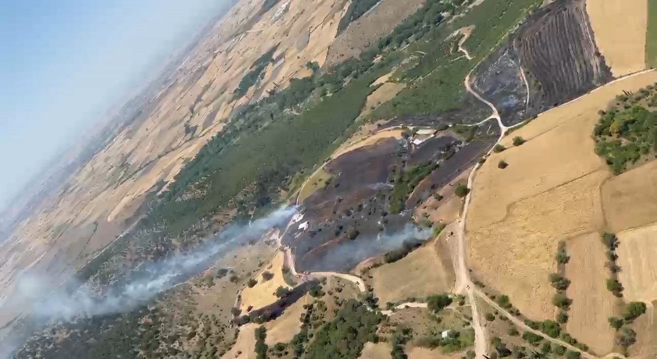 Balıkesirde orman yangını
