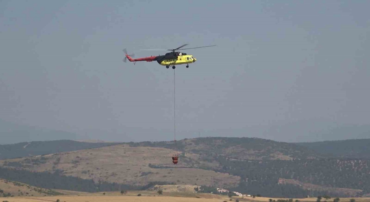 Balıkesirde orman yangını