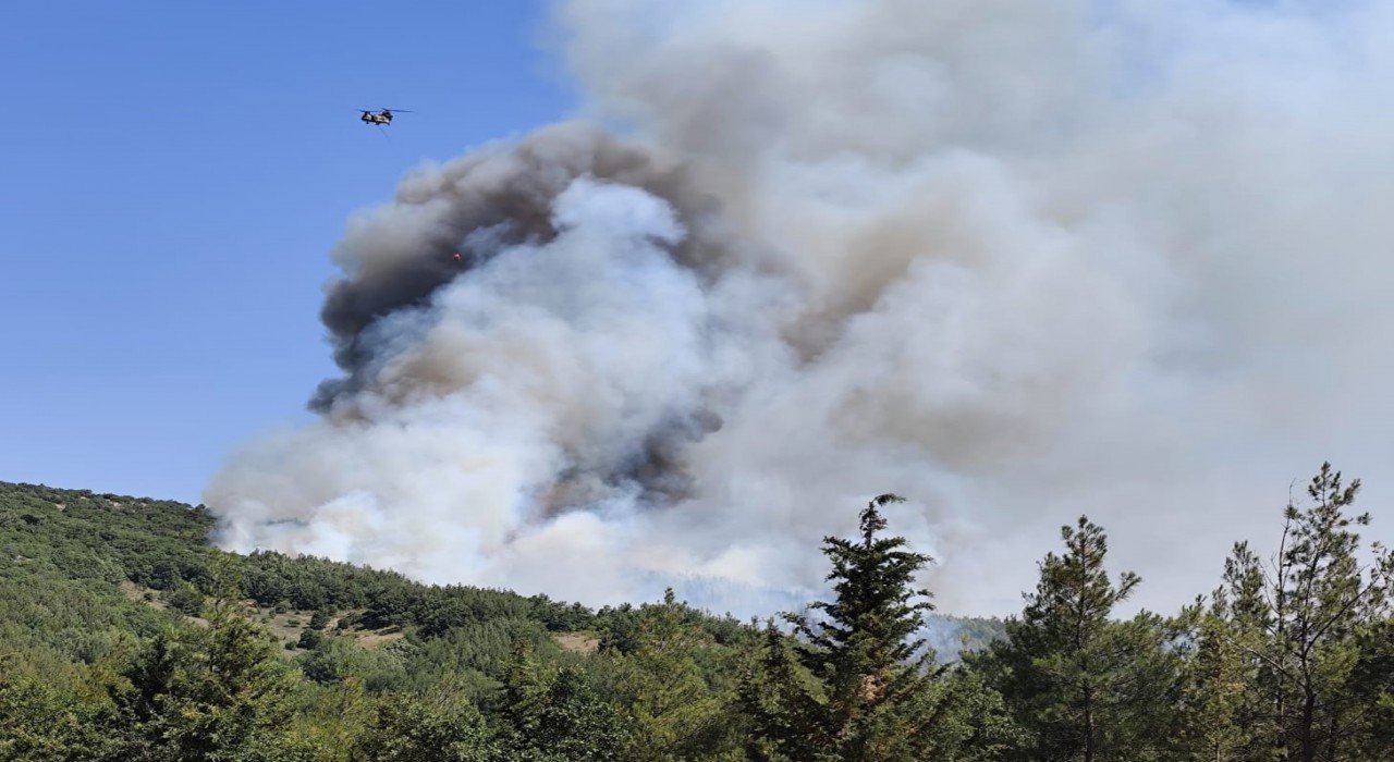 Balıkesirdeki orman yangınına müdahale ediliyor