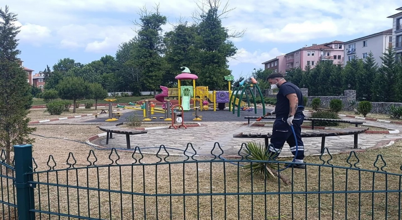 Bartında kene ile mücadele