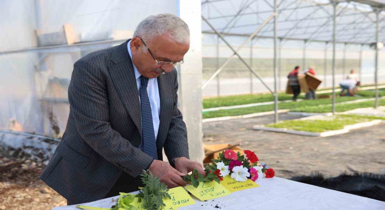 Başkan Güler: Peyzaj çalışmalarında çiçekleri dışarıdan almıyor, yetiştiriyoruz