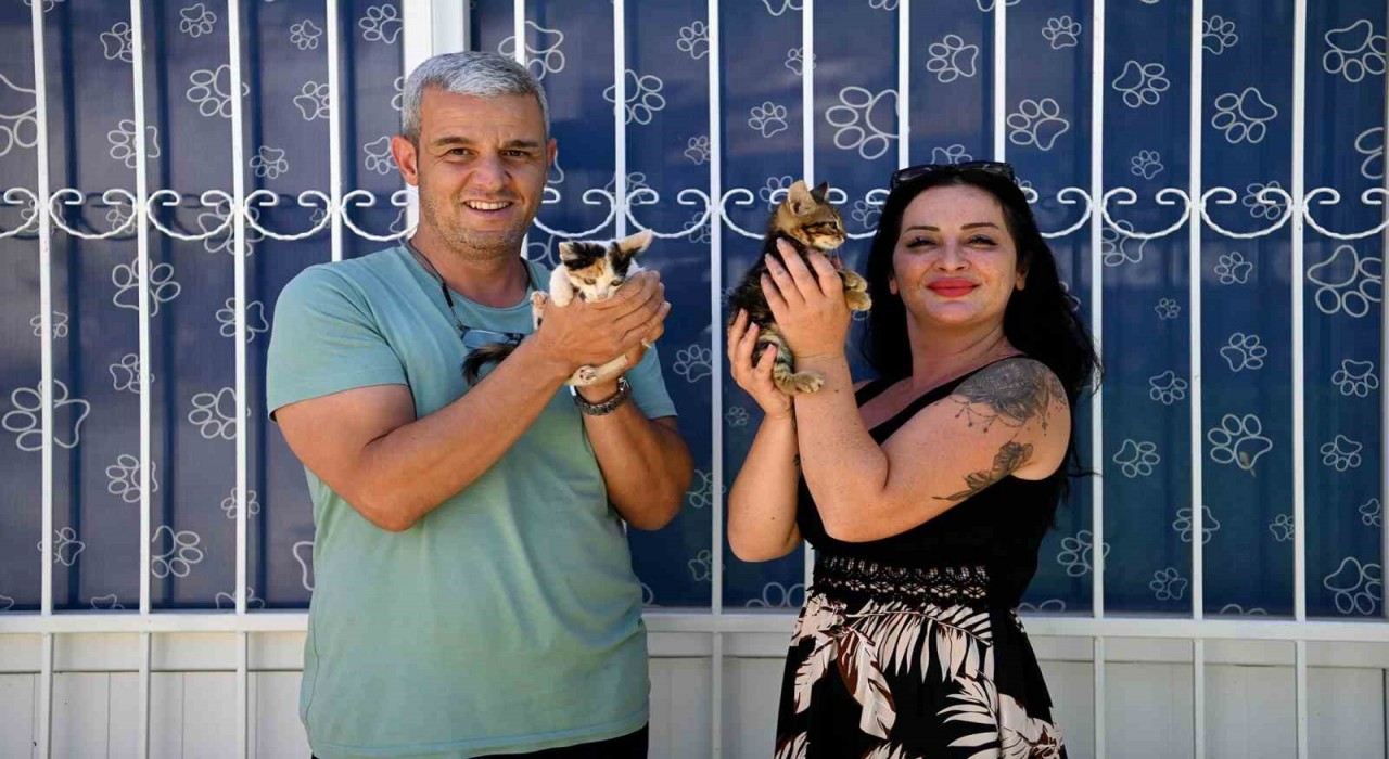 Başkan Günelden can dostlar için yeni bir hizmet daha