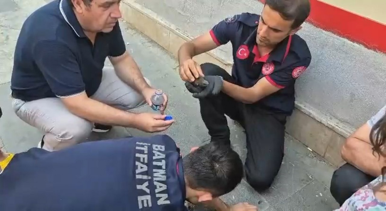Batmanda ebabil kuşları için seferberlik