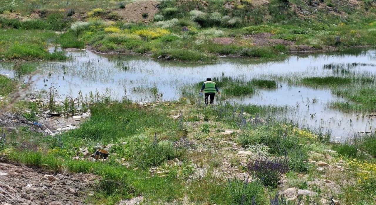 Bayburtta kene, bit, pire ve larvalara karşı çalışma başlatıldı