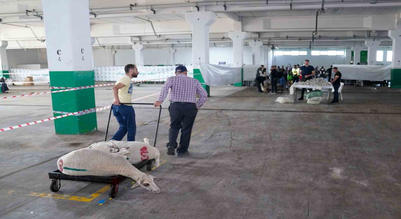 Bayram huzuru Tepebaşında