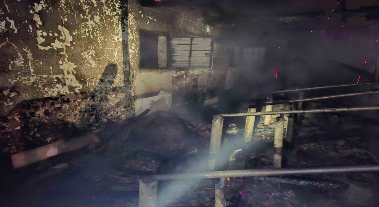 Bayram öncesi felaket: Ahırda çıkan yangın, satışı yapılan 16 büyükbaşı telef etti