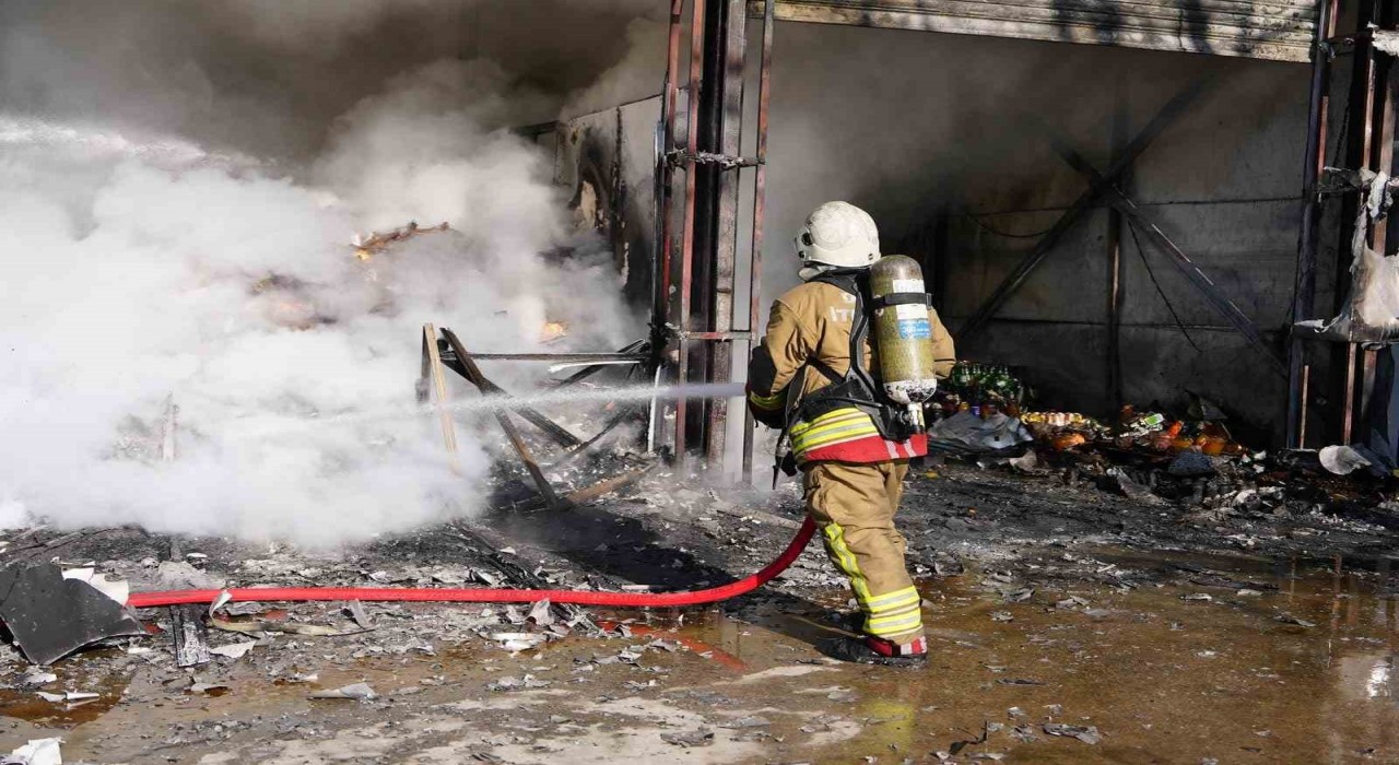 Bayramda en çok hayvan kurtardılar