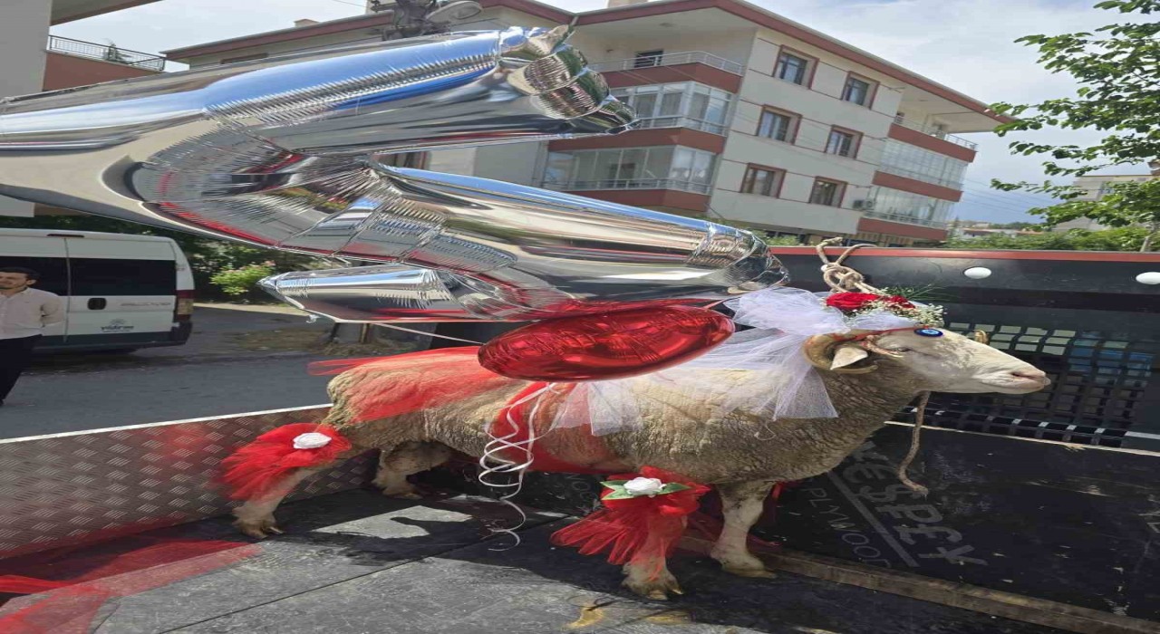 Beypazarında gelin adaylarına ‘koç gönderme geleneği devam ediyor