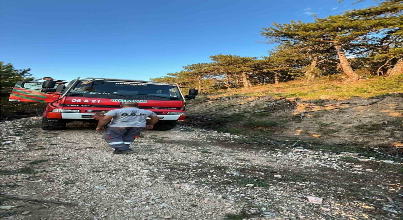 Beypazarında orman yangını