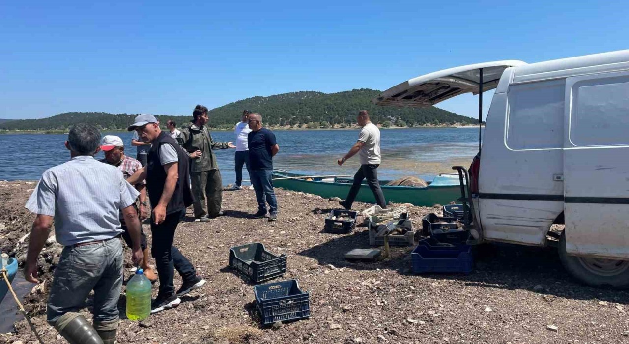 Beyşehir Gölünde ağlara vuran 17 kiloluk sazan balığı şaşırttı