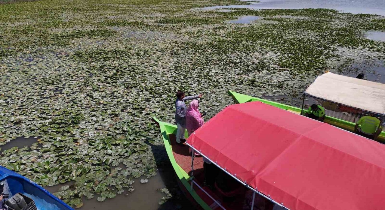 Beyşehirde Bangladeş Su Nilüferi etkinlikleri