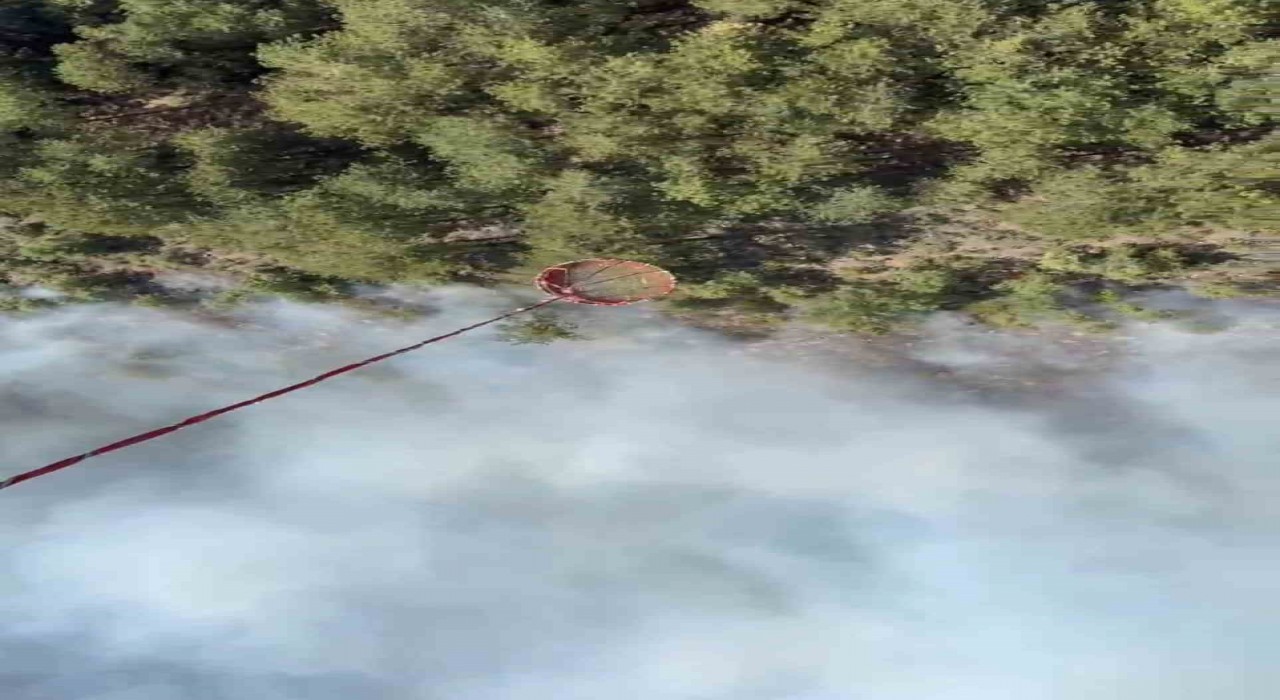 Bigadiçte orman yangını