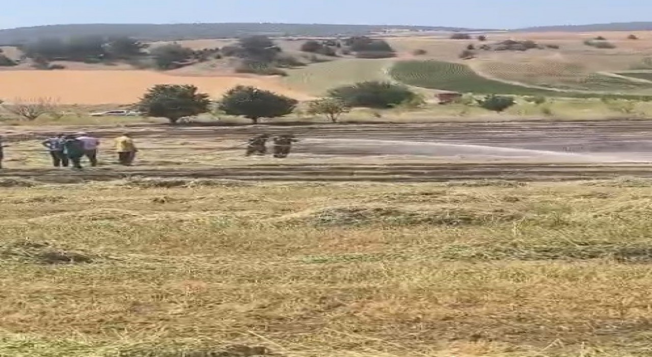Bilecikte anız yangını söndürüldü