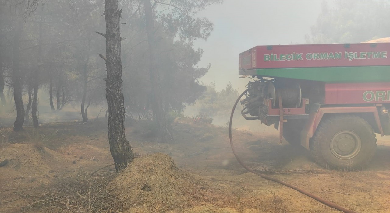 Bilecikte buğday tarlasında çıkan yangın ormanlık alana sıçradı