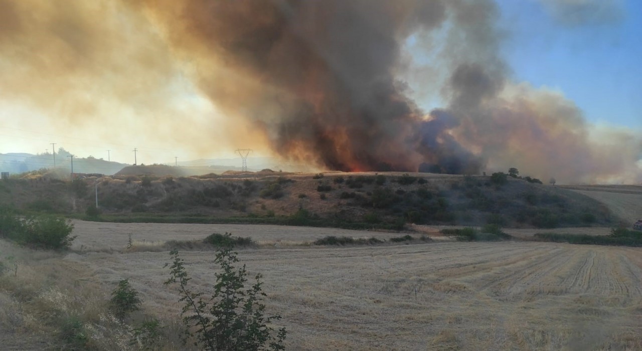 Bilecikte çıkan orman yangını NATO tesislerine sıçradı