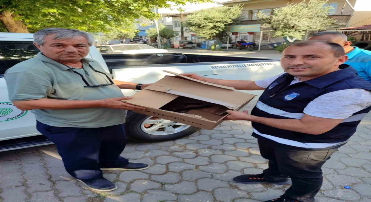 Bilecikte yaralı olarak bulunan atmaca koruma altına alındı