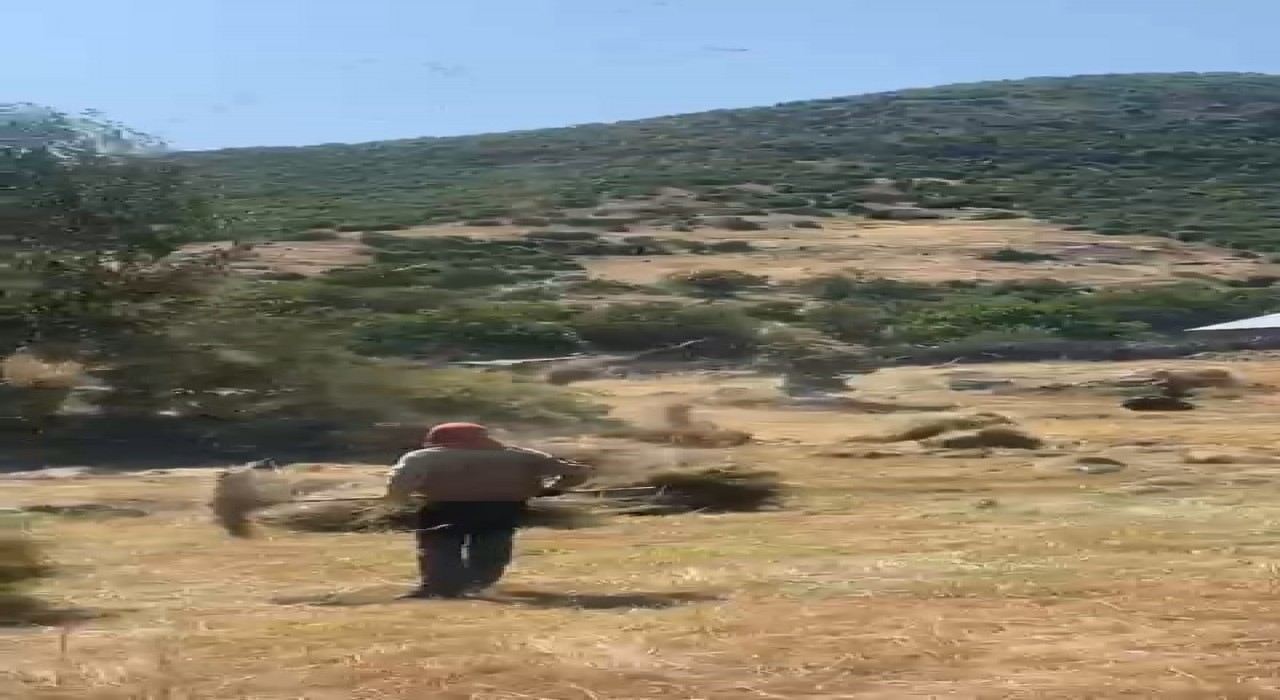 Bingölde hortum otları uçurdu