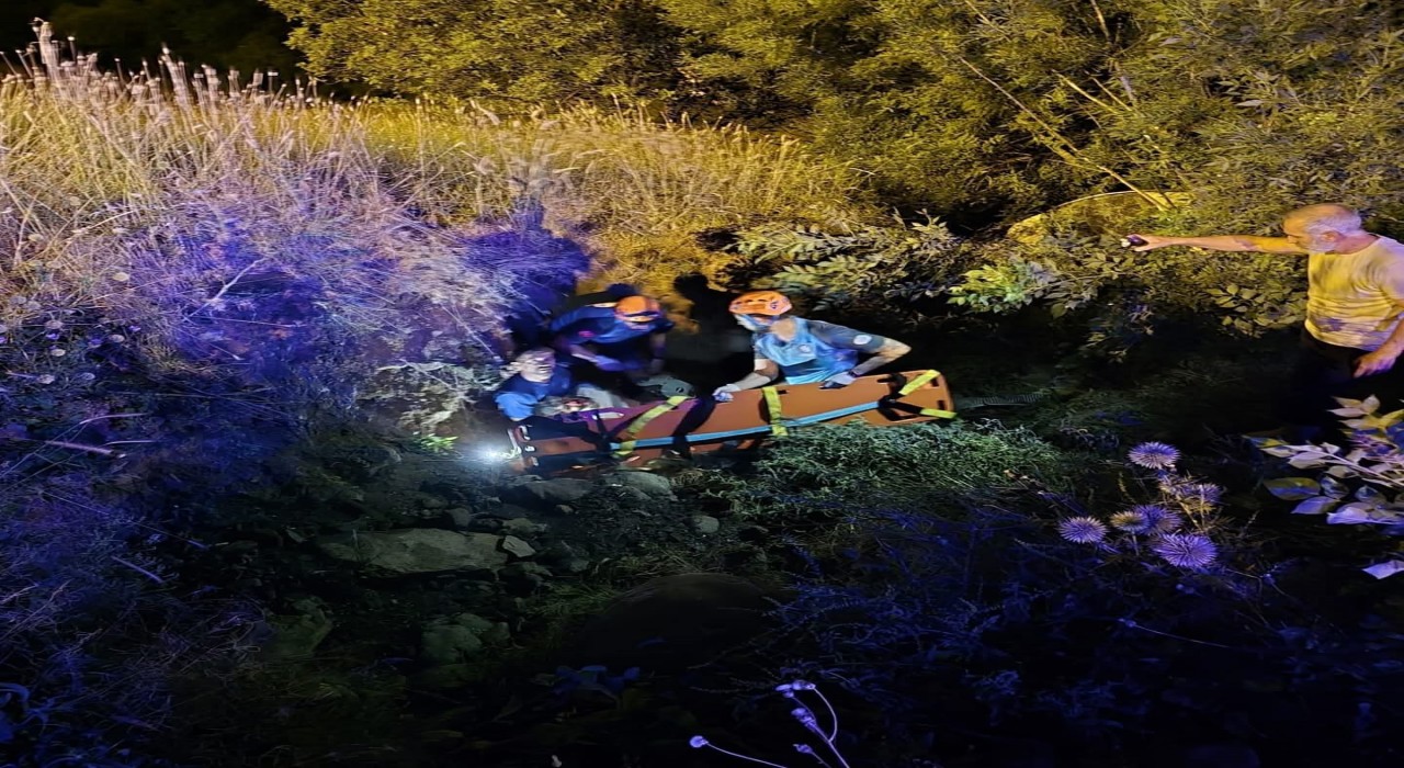 Bingölde trafik kazası: 2 yaralı