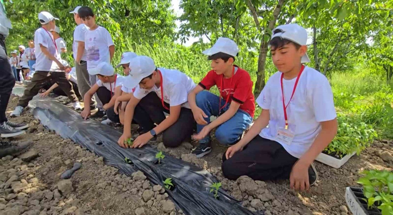 Bingölde TÜBİTAK 4004 başarısı