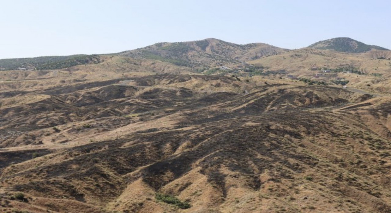 Bingöldeki orman yangını söndürüldü