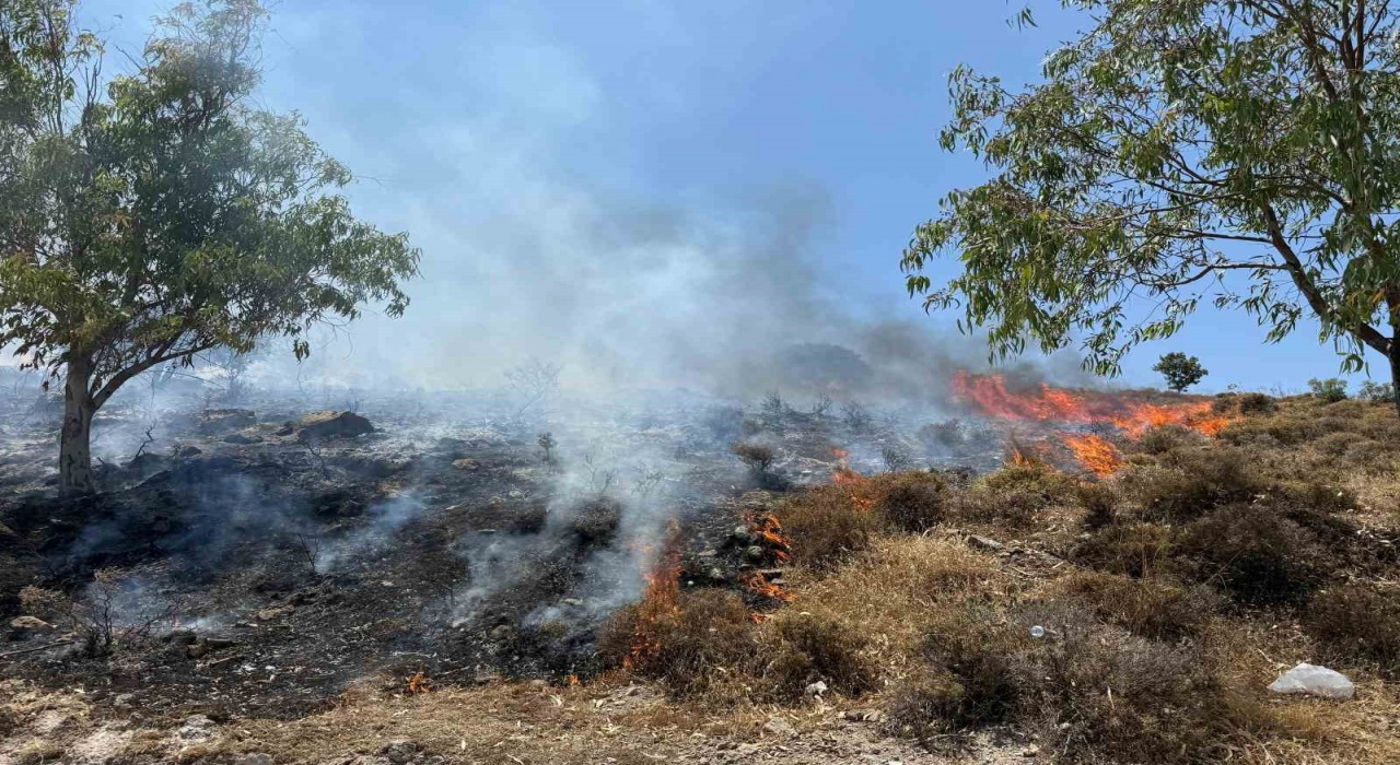 Bodrum Türkbükünde makilik yangını