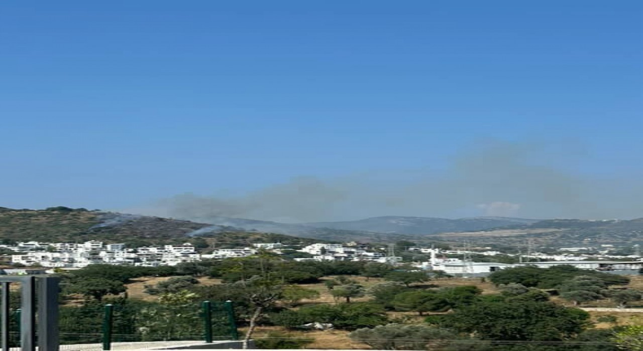 Bodrumda makilik alanda yangın çıktı