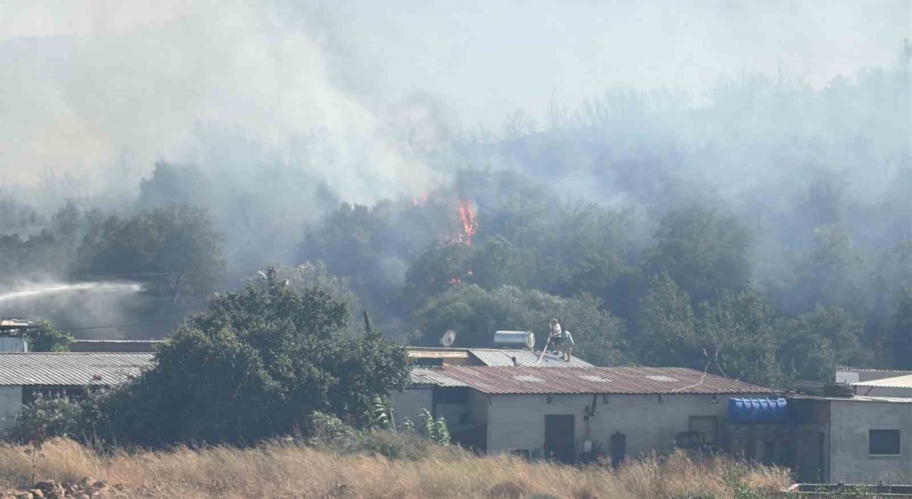 Bodrumda makilik alanda yangın paniği