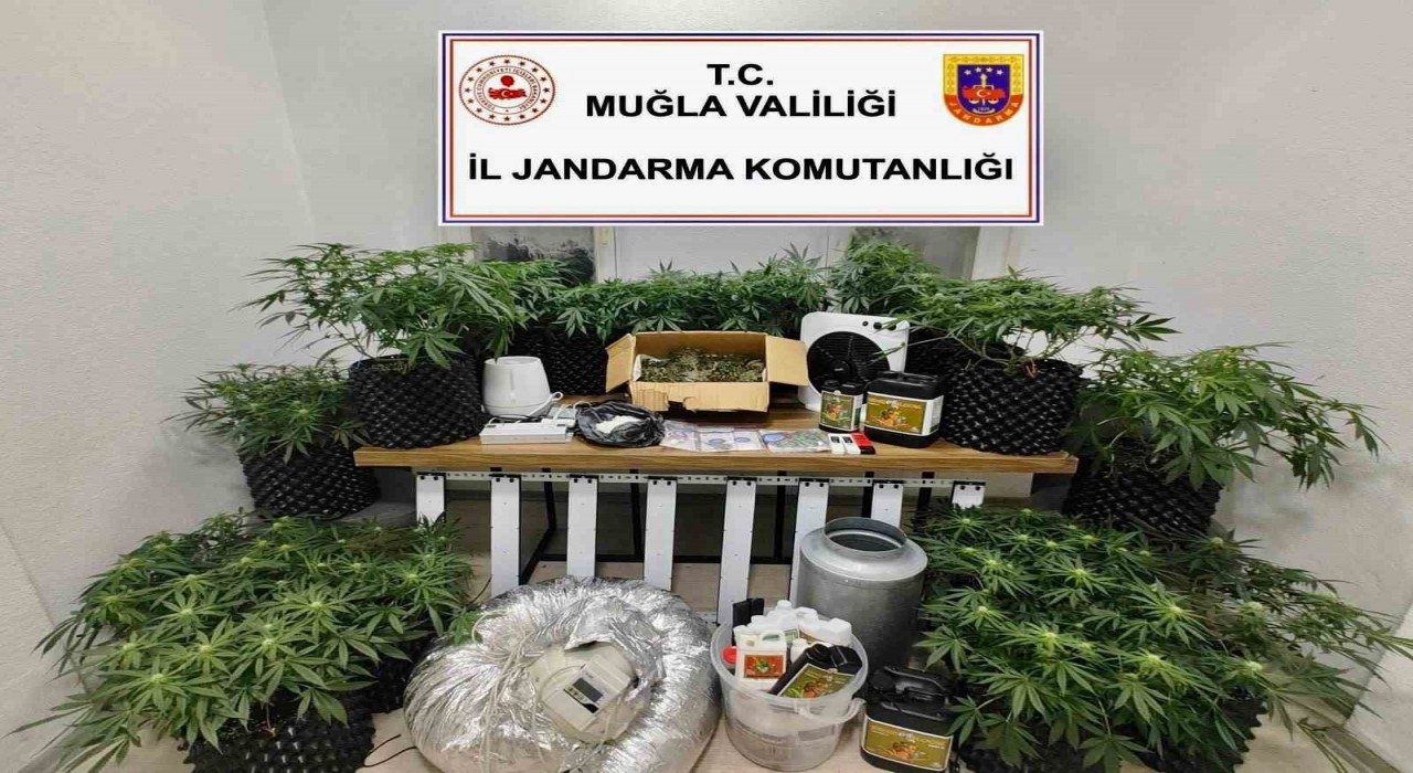 Bodrumda uyuşturucu baskını: 2 gözaltı