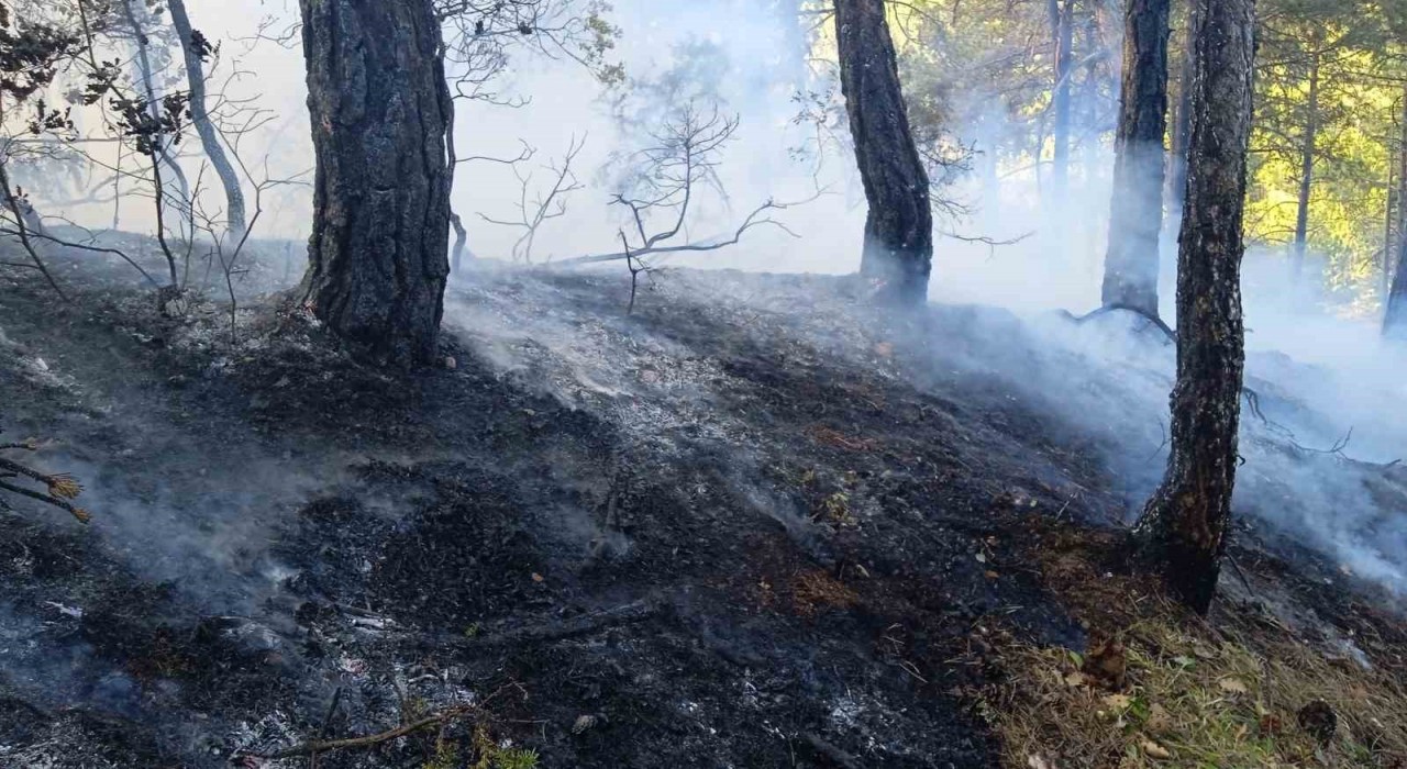 Boluda örtü yangını: 1 hektar zarar gördü