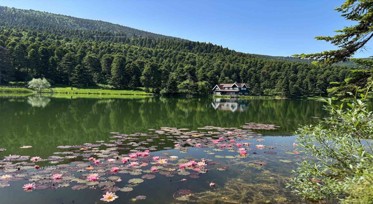 Boluda yangın riskine karşı ormanlık alanlara giriş yasaklandı