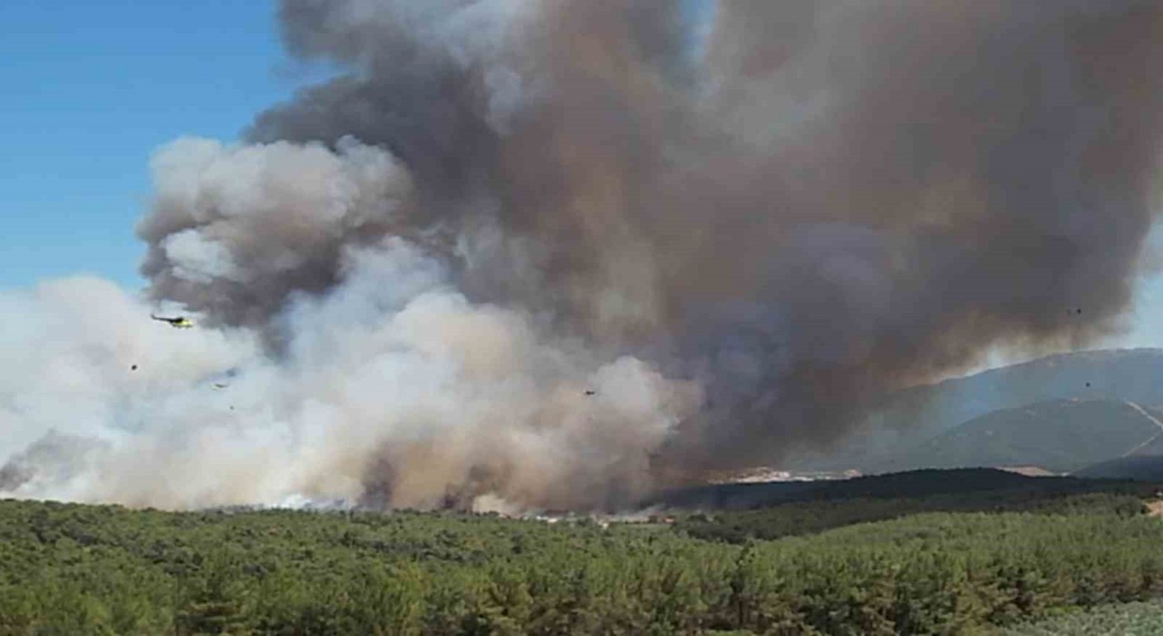 Bornovadaki yangın büyüdü; 8 uçak ve 17 helikopterle müdahale sürüyor