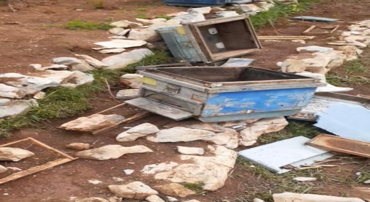 Bozkırda ayılar arı kovanlarına zarar verdi