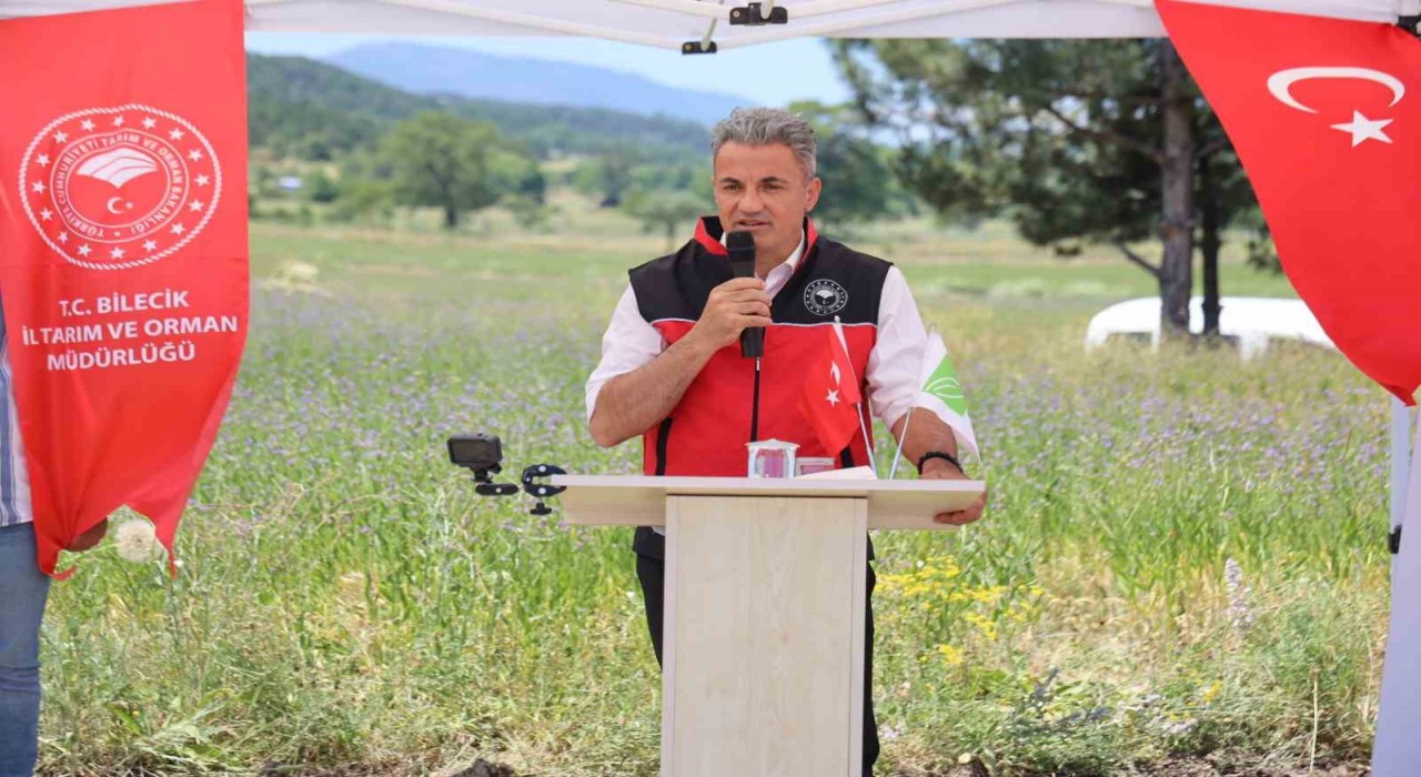 Bozüyükte ‘Pelemir Bitkisi tanıtım günü düzenlendi