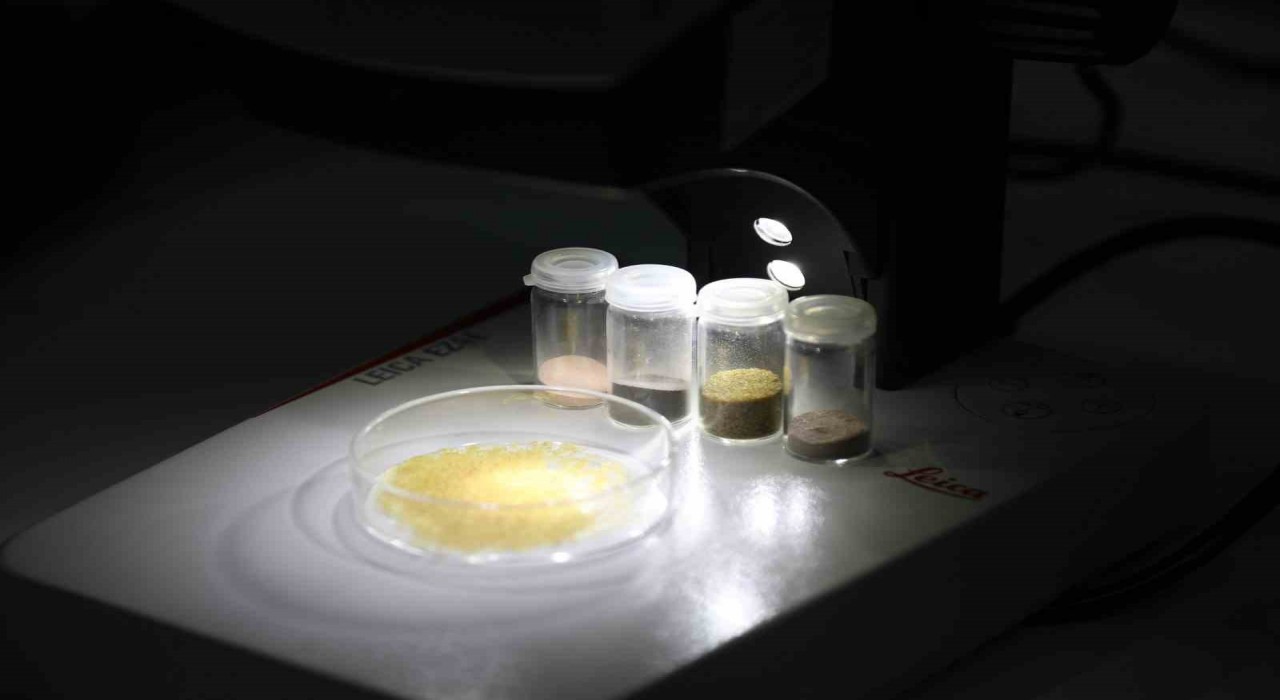 BTÜnün projesi hayvansal kaynaklara alternatif kaynak olacak