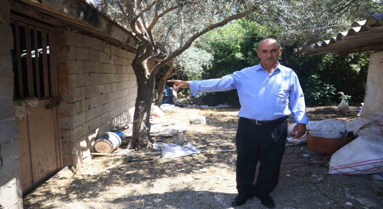 ‘Bu benim en uysal hayvanım dediği boğa, karayolunda trafiği durdurarak korku dolu anlar yaşattı