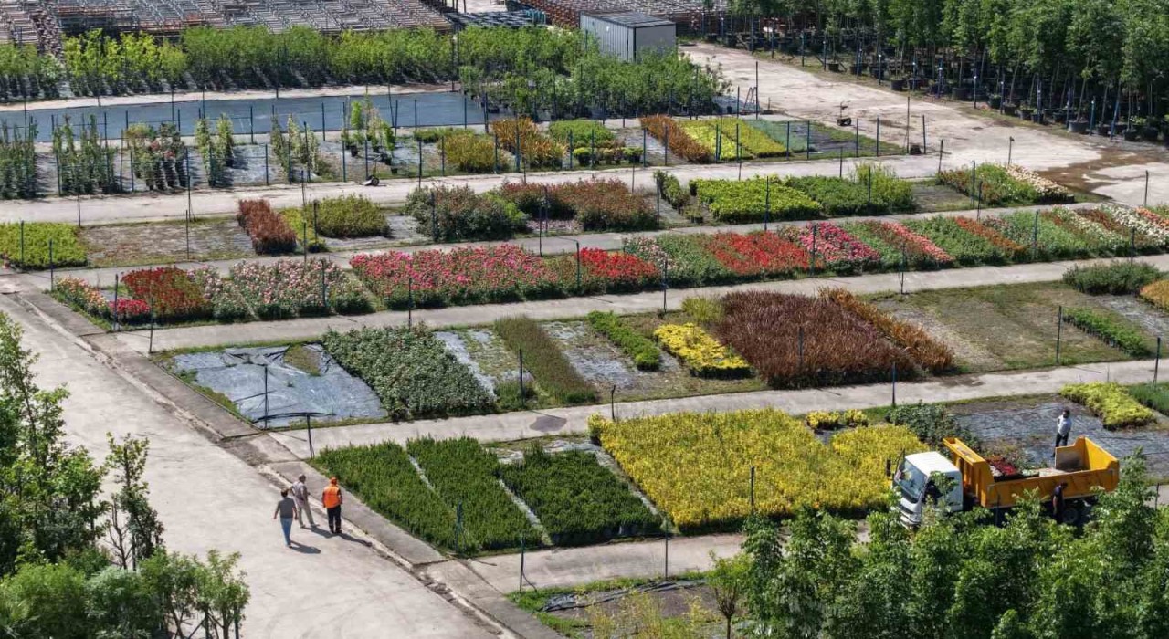 Bu fidanlık Kocaeliyi yeşillendiriyor