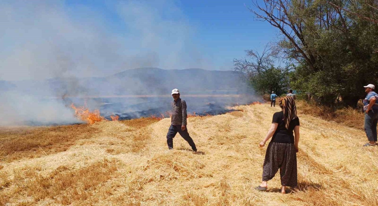 Burdurda çıkan yangında 8 dönüm arazi zarar gördü