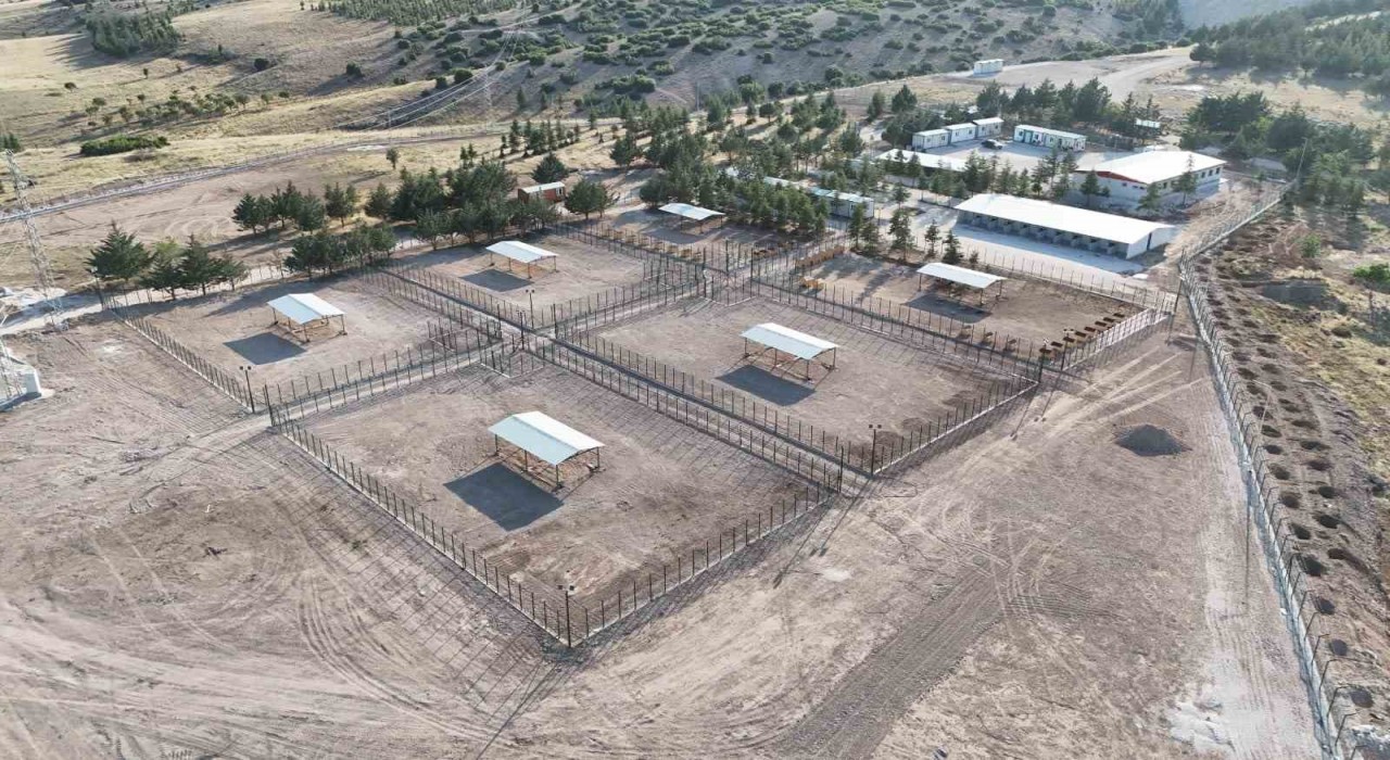 Burdurda sahipsiz hayvanlar için modern rehabilitasyon ve doğal yaşam tesisi açıldı