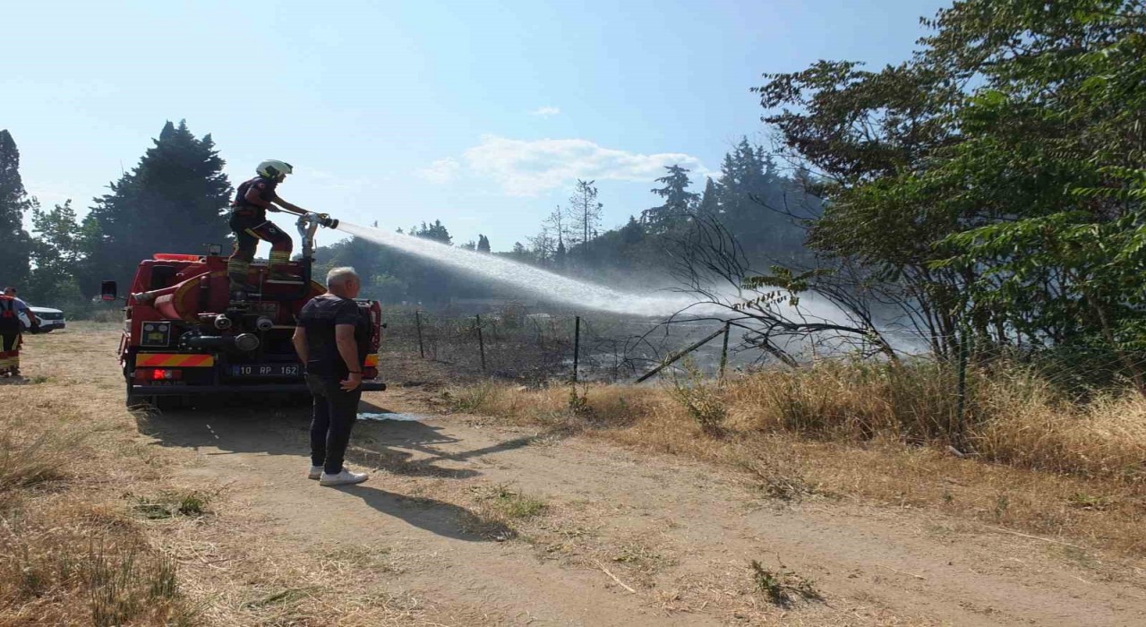 Burhaniyede ot yangınları bitmiyor