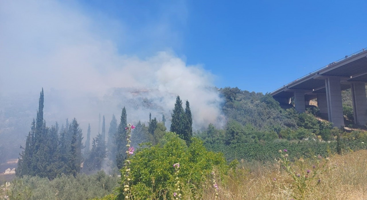 Bursada çam ormanı yanıyor