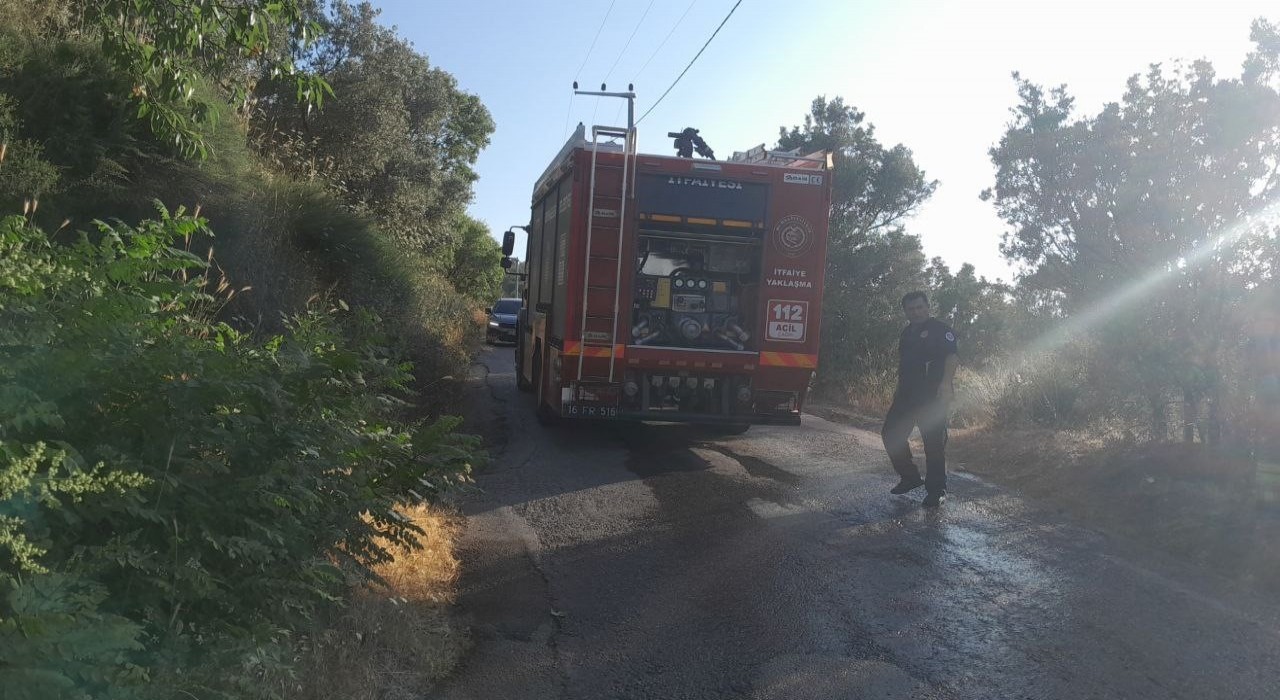 Bursada karga yangına neden oldu