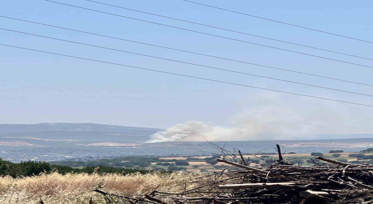 Bursada Kayapa bölgesinde orman yangını