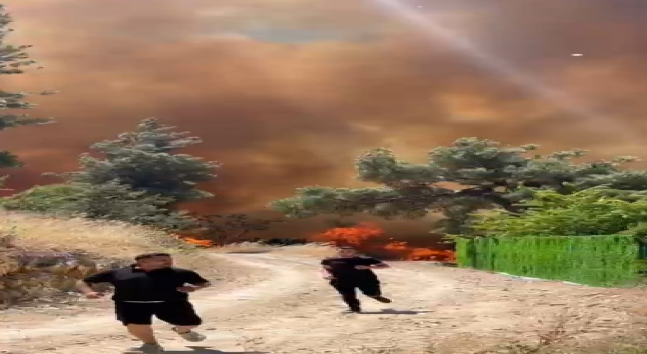 Bursada orman yangını köydeki evlere sıçradı...Büyük panik yaşanıyor