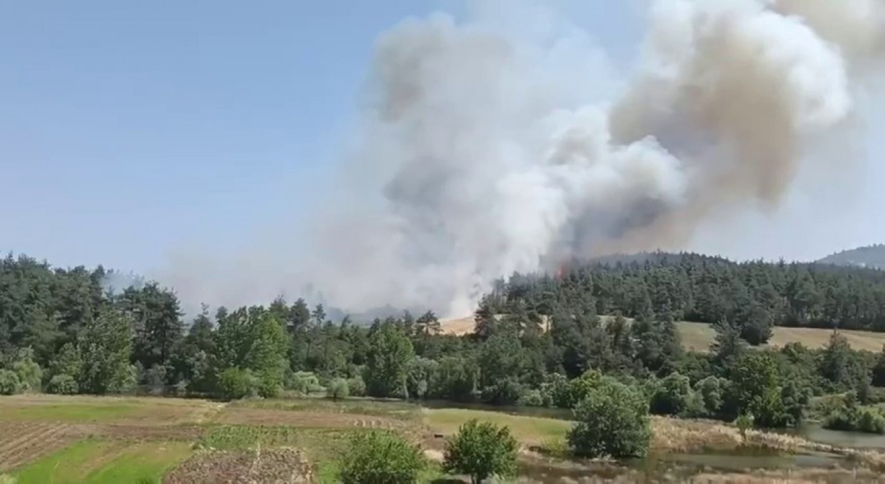 Bursada orman yangını: Taş ocakları mevkiindeki yangına karadan ve havadan müdahale