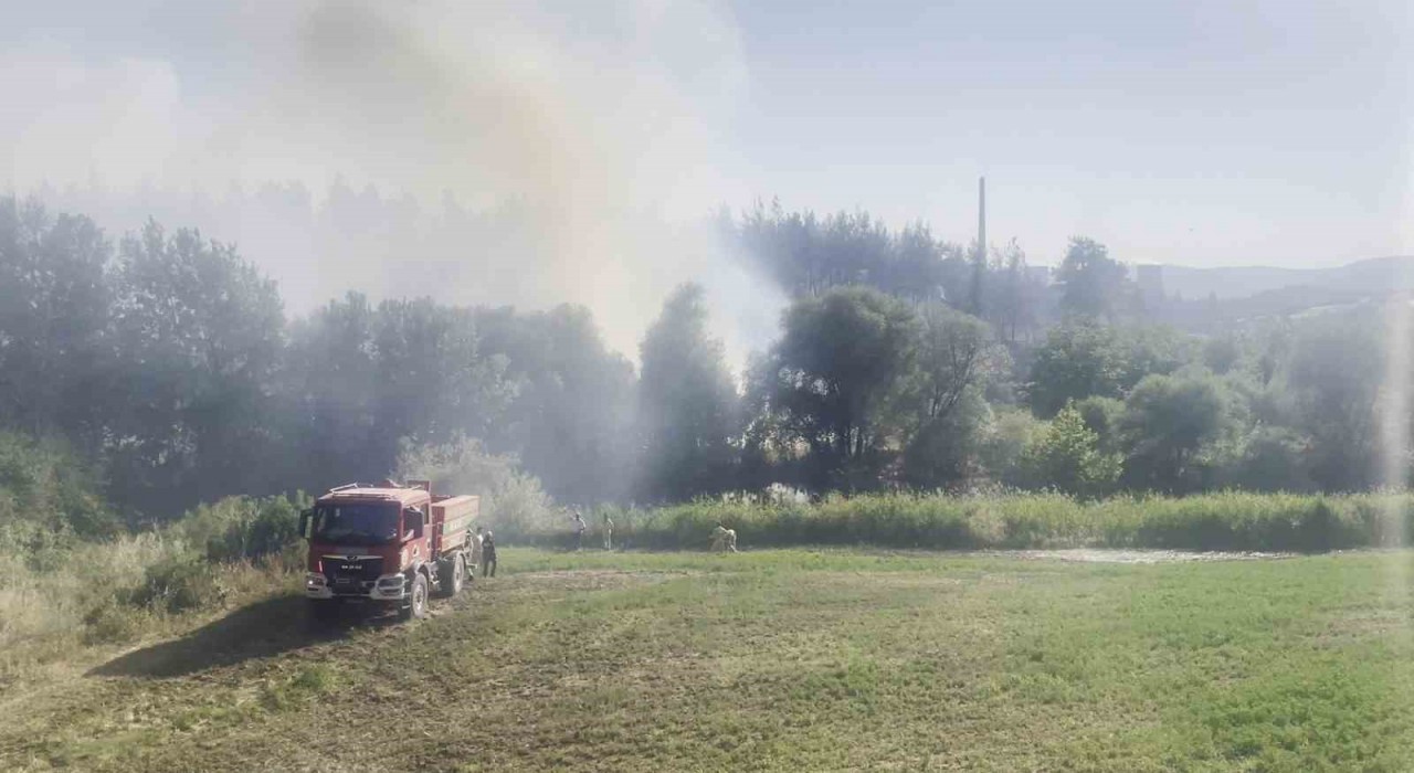 Bursadaki orman yangını kontrol altına alındı