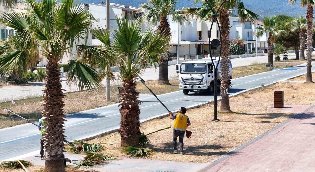 Büyükşehir Belediyesinden Davutlar ve Güzelçamlıda kapsamlı çalışma