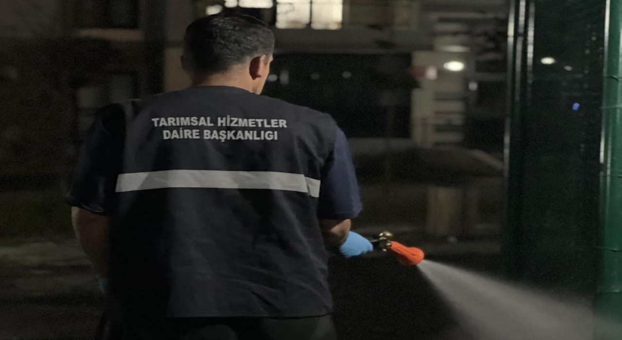 Büyükşehirden ilaçlama atağı